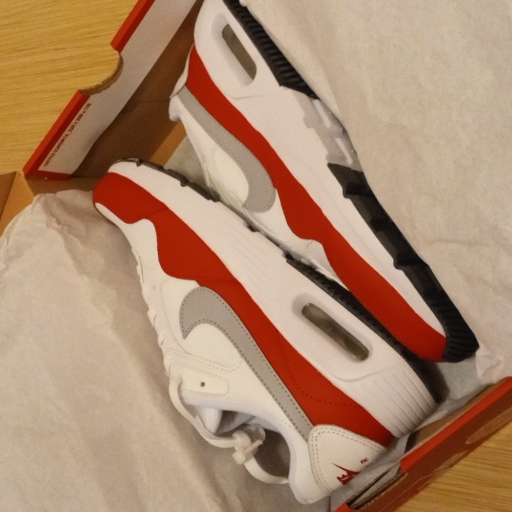 Air Max Nike SC
